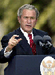 Smilies Bush
